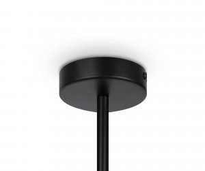 Подвесной светильник Maytoni MOD177PL-04B