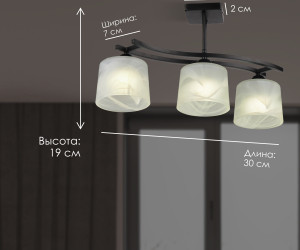 Потолочный светильник SS5274-3 BK 000061923