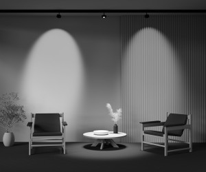 Трековый светильник Technical TR217-2-15W3K-B