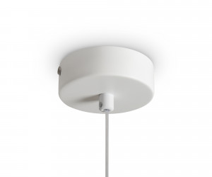 Подвесной светильник Freya FR5592PL-01BS2