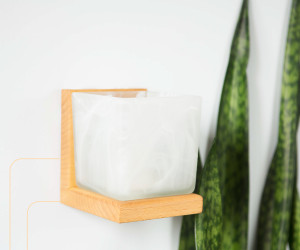 Настенный светильник 6424-1W NL 000031277