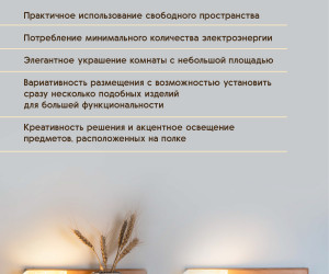 Настенный светильник 6425-Left-1W NL 000031280