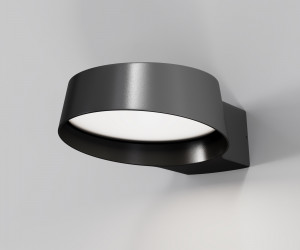 Настенный светильник (бра) Outdoor O443WL-L12GF3K