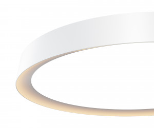 Потолочный светильник Maytoni MOD426CL-L43WK