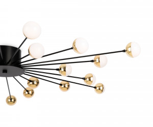 Потолочный светильник Freya FR5242CL-24B