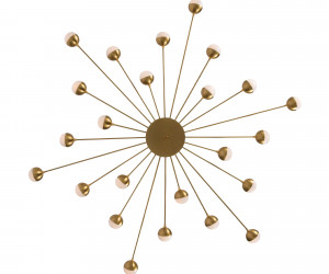 Потолочный светильник Freya FR5242CL-24BS