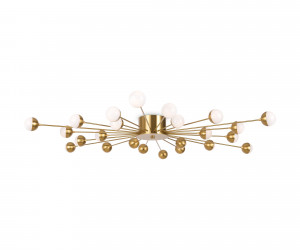 Потолочный светильник Freya FR5242CL-24BS