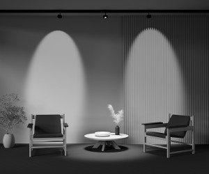 Трековый светильник Technical TR217-2-15W4K-B