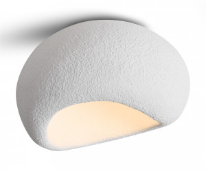 Потолочный светильник Freya FR5428CL-01W