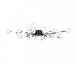 Потолочный светильник Freya FR5242CL-24B1