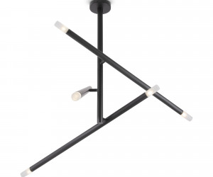 Потолочный светильник Maytoni MOD620CL-06B