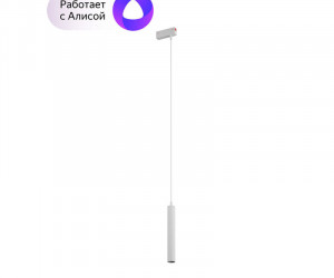 DK8008-WH Подвесной светильник SMART SPOT 9W DIM 2700K-6000K белый