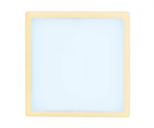 DCR337 24W+6W 6400K/3000K 85-265V 230*230*32 (A210*210)