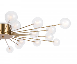 Потолочный светильник Freya FR5242CL-24BS1