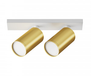 Потолочный светильник Technical C051CL-U-2WMG