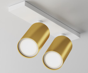 Потолочный светильник Technical C051CL-U-2WMG