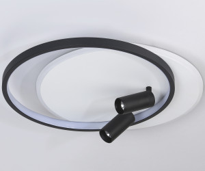 FL5137/2+2 WH/BK белый/черный 66W 3000K/4200K/6400K+4200K 500*420*130 (ПДУ ИК)