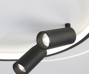 FL5137/2+2 WH/BK белый/черный 66W 3000K/4200K/6400K+4200K 500*420*130 (ПДУ ИК)