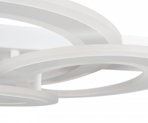 Потолочный светильник Freya FR10022CL-L63W