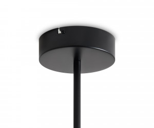 Потолочный светильник Freya FR6178CL-L30B