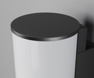 Настенный светильник (бра) Outdoor O434WL-L12GF3K