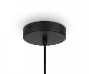 Подвесной светильник Maytoni MOD191PL-01W