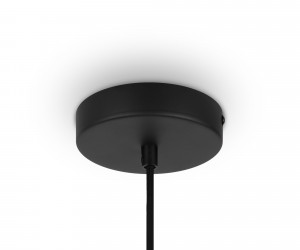 Подвесной светильник Maytoni MOD194PL-01W