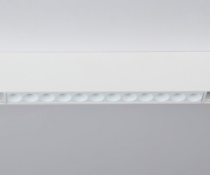 GL4022 WH белый IP20 12W 4200K 48V 24° 220*22*45