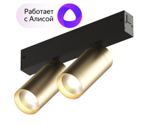 DK8012-BG Акцентный светильник SMART SPOT DOUBLE 2x9W DIM 3000K-6000K, матовое золото с черным