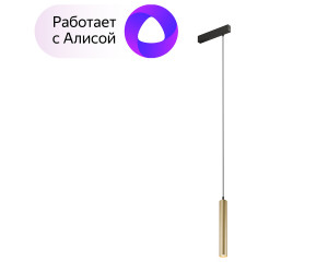 DK8008-BG Подвесной светильник SMART SPOT 9W DIM 2700K-6000K матовое золото с черным