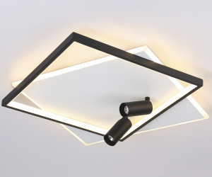 FL5138/2+2 WH/BK белый/черный 77W 3000K/4200K/6400K+4200K 505*493*130 (ПДУ ИК)