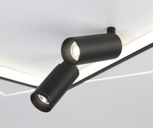 FL5138/2+2 WH/BK белый/черный 77W 3000K/4200K/6400K+4200K 505*493*130 (ПДУ ИК)