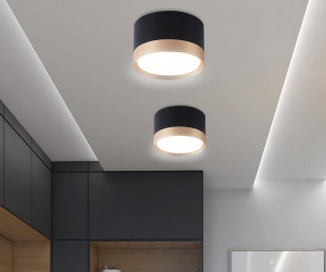 TN52359 BK/GD черный/золото GX53 max 12W D82*50