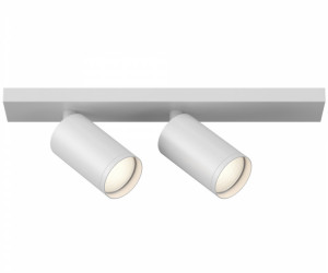 Потолочный светильник Technical C051CL-U-2W