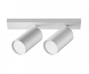 Потолочный светильник Technical C051CL-U-2W