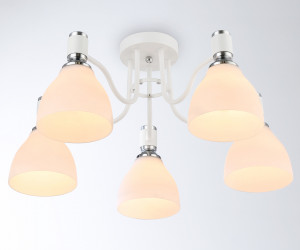 TR303305/5 WH/CH/FR белый/хром/белый матовый E27*5 max 60W D600*270