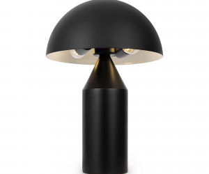 Настольный светильник Freya FR5218TL-02B1