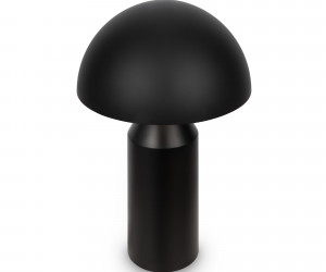 Настольный светильник Freya FR5218TL-02B1