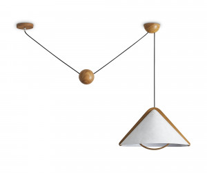 Потолочный светильник Freya FR5554CL-01T