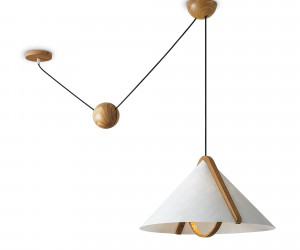 Потолочный светильник Freya FR5554CL-01T