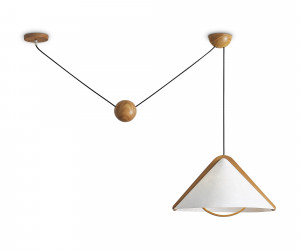 Потолочный светильник Freya FR5554CL-01T