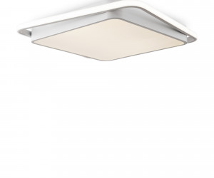 Потолочный светильник Freya FR10030CL-L88W