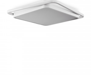 Потолочный светильник Freya FR10030CL-L88W