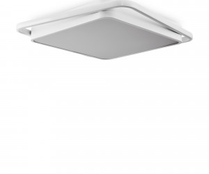 Потолочный светильник Freya FR10030CL-L88W