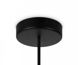 Подвесной светильник Maytoni MOD204PL-01B