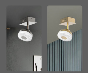 Потолочный светильник 054-L10-1 CF 000021555