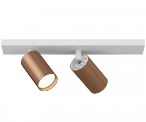 Потолочный светильник (Набор) Technical C051CL-2WC