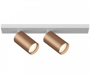 Потолочный светильник (Набор) Technical C051CL-2WC