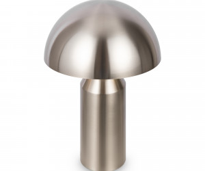 Настольный светильник Freya FR5218TL-02N