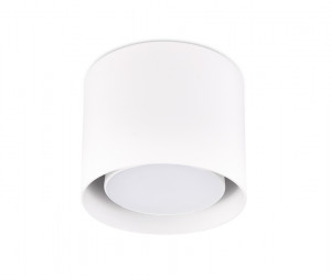 TN700 WH белый GX53 D100*80